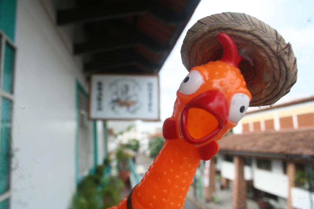 Casa Kraken Hostel Puerto Vallarta Luaran gambar