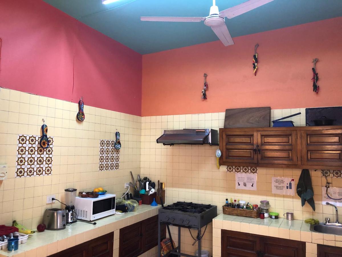 Casa Kraken Hostel Puerto Vallarta Luaran gambar