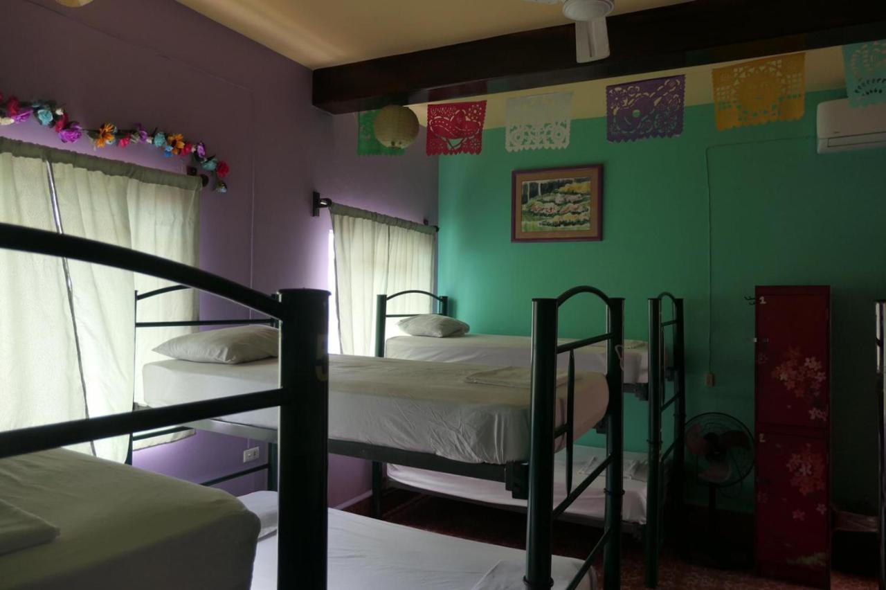 Casa Kraken Hostel Puerto Vallarta Luaran gambar