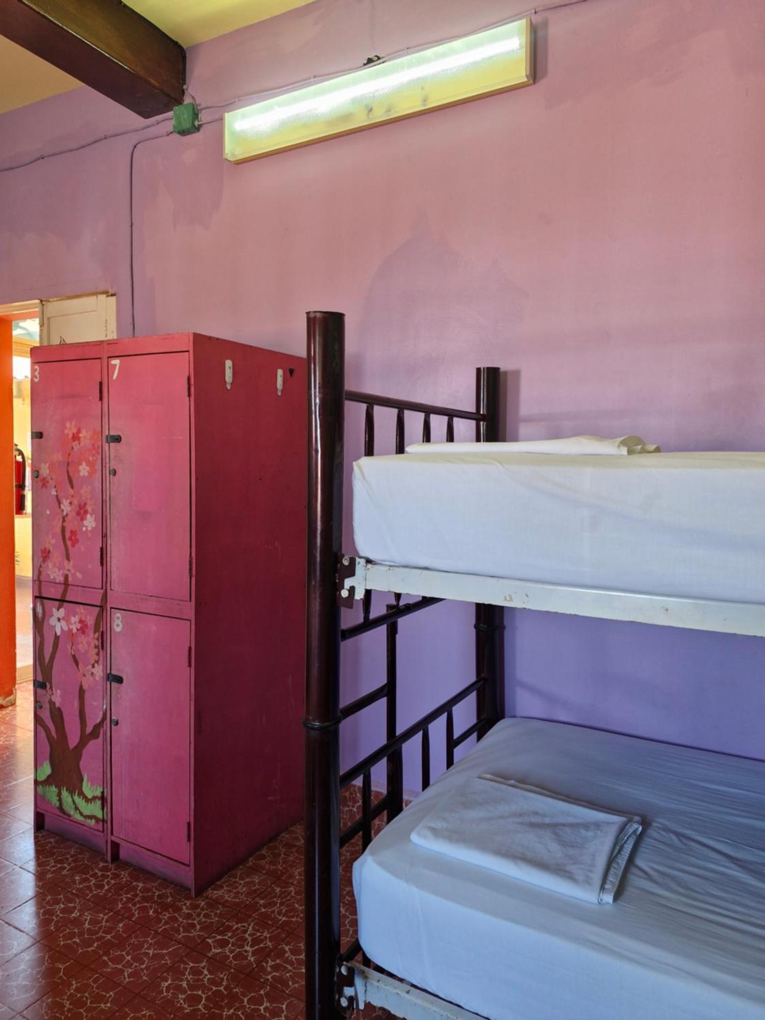 Casa Kraken Hostel Puerto Vallarta Luaran gambar